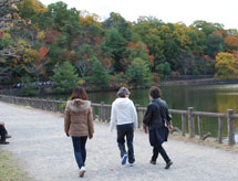 足反射区療法の期待効果